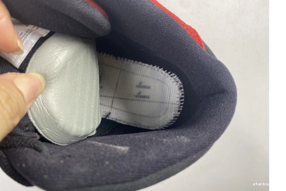 602 DJ5982 “Reverse Jordan Bred